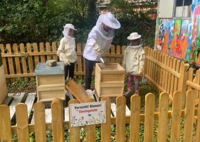 Unsere neuen Bienen im Campanushaus